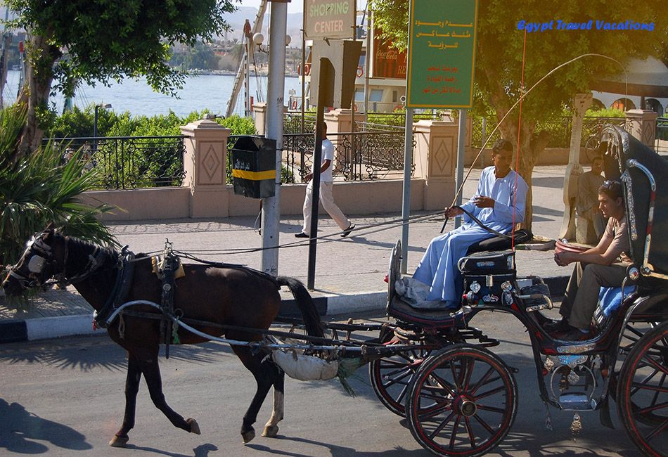  Luxor horse carriage tour