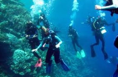 Sharm Tour Package