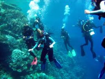 Sharm Tour Package